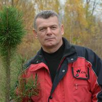 Отзыв от Виталий - DTV виза